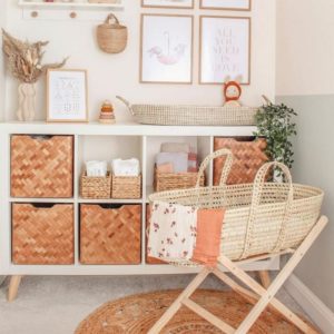 UnDressed Palm Moses Basket Influencer